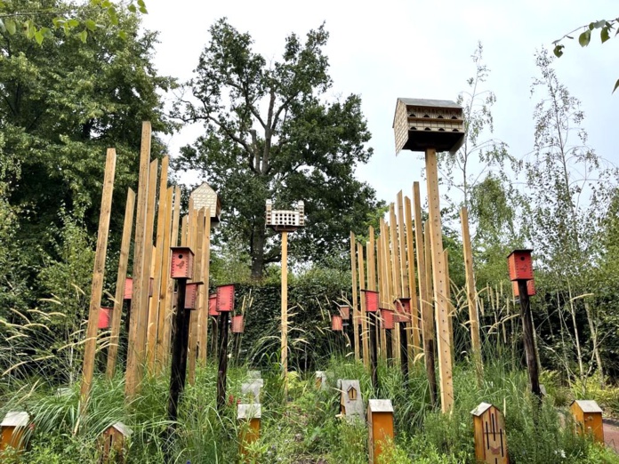 Le jardin baptisé "Pollinators City" se veut aussi un clin d'oeil à New-York et à Central Park (©PB) Le jardin baptisé "Pollinators City" se veut aussi un clin d'oeil à New-York et à Central Park (©PB)