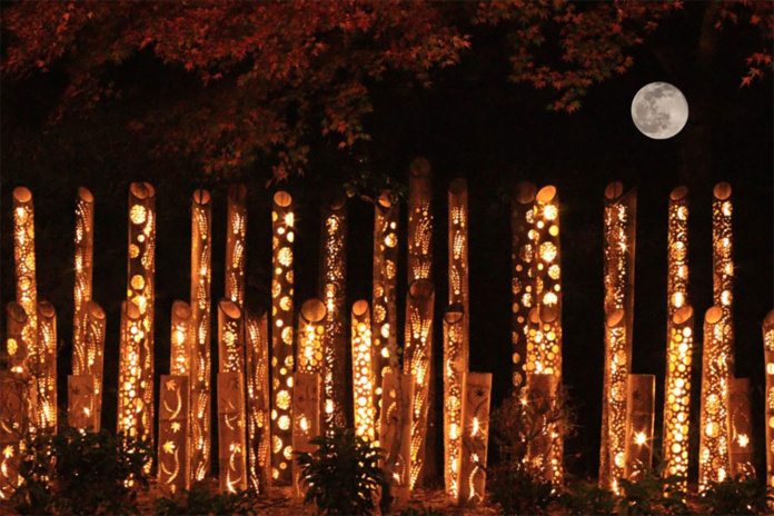 © Wa Sakura © Wa Sakura