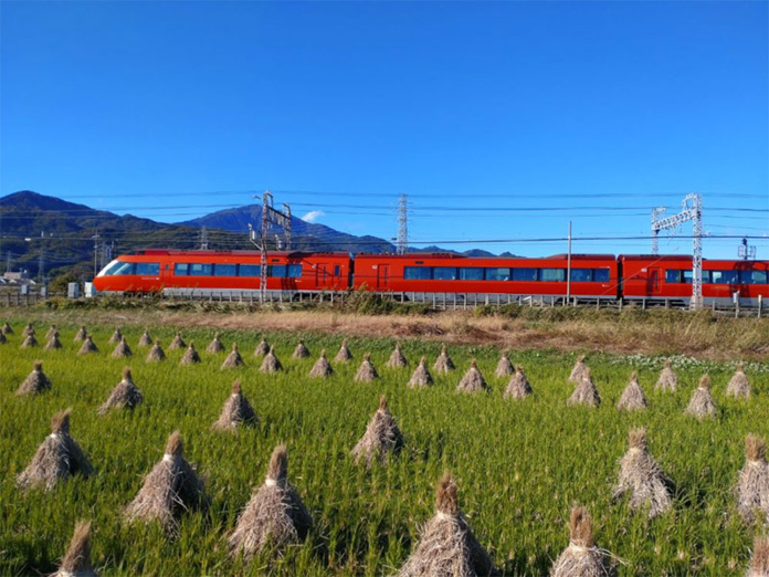 © Wa Sakura © Wa Sakura