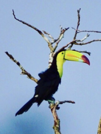 Tikal © Terra Guatemala Tikal © Terra Guatemala