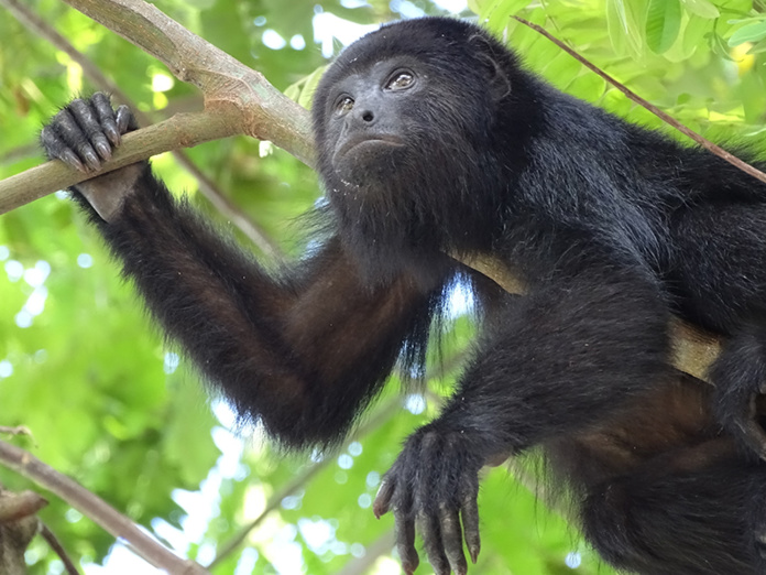 © Terra Guatemala © Terra Guatemala