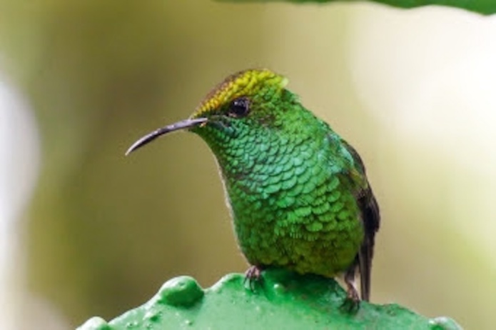 Arts et Vie, première association de voyages à obtenir le label ATR - Arts et vie Arts et Vie, première association de voyages à obtenir le label ATR - Arts et vie