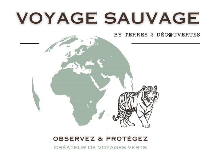 Voyage Sauvage : le nouveau TO de la cause animale 🔑 Voyage Sauvage : le nouveau TO de la cause animale 🔑