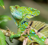 © Unsplash - Geoffrey Baumbach © Unsplash - Geoffrey Baumbach