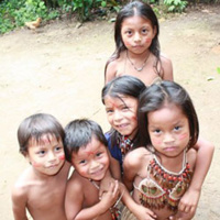 © Quimbaya Latin America © Quimbaya Latin America