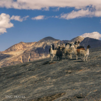 © ENC Travel © ENC Travel