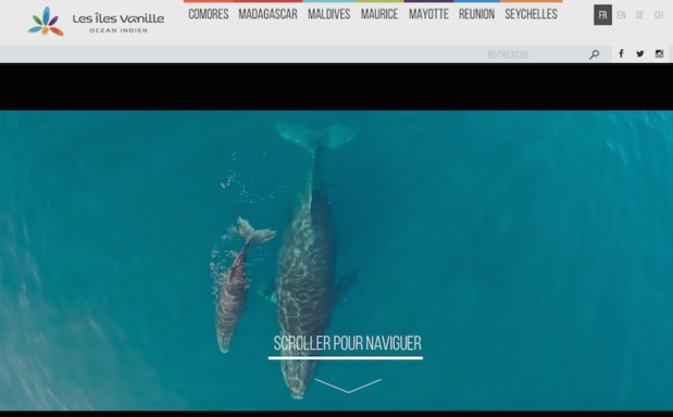 L'alliance Vanille : vers une baisse du prix des billets d'avions. DR L'alliance Vanille : vers une baisse du prix des billets d'avions. DR