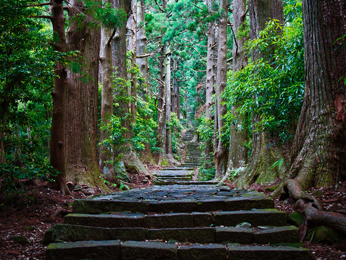 © Swann Dumontflickr.com © Swann Dumontflickr.com