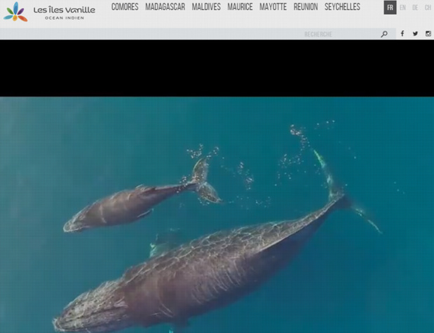 Les Îles de Vanille se mobilisent pour préserver leur fonds de commerce - Capture d'écran Les Îles de Vanille se mobilisent pour préserver leur fonds de commerce - Capture d'écran