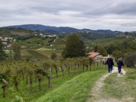 La dynamique de la renommée viticole se retrouve aussi pour la gastronomie slovène - RP La dynamique de la renommée viticole se retrouve aussi pour la gastronomie slovène - RP