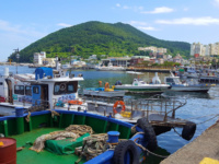 Port de pêcheurs à Geoje © Tour de Corée Port de pêcheurs à Geoje © Tour de Corée