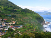 Rizières en terrasses à Namhae © Tour de Corée Rizières en terrasses à Namhae © Tour de Corée