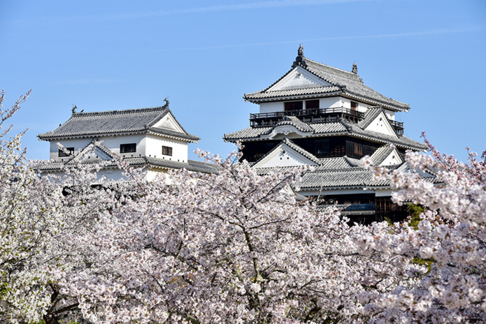 Château de Matsuyama © shutterstock Château de Matsuyama © shutterstock