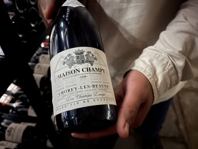 Dégustation à la Maison Champy (©PB) Dégustation à la Maison Champy (©PB)