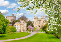 Le château de Windsor © Shutterstock
