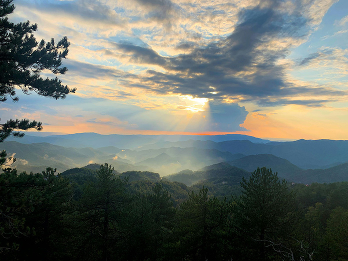 © Pexels / Sia Panayidou © Pexels / Sia Panayidou