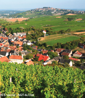 Les Collines du Sancerrois, le Piton de Sancerre et ses caves candidats au Patrimoine Mondial