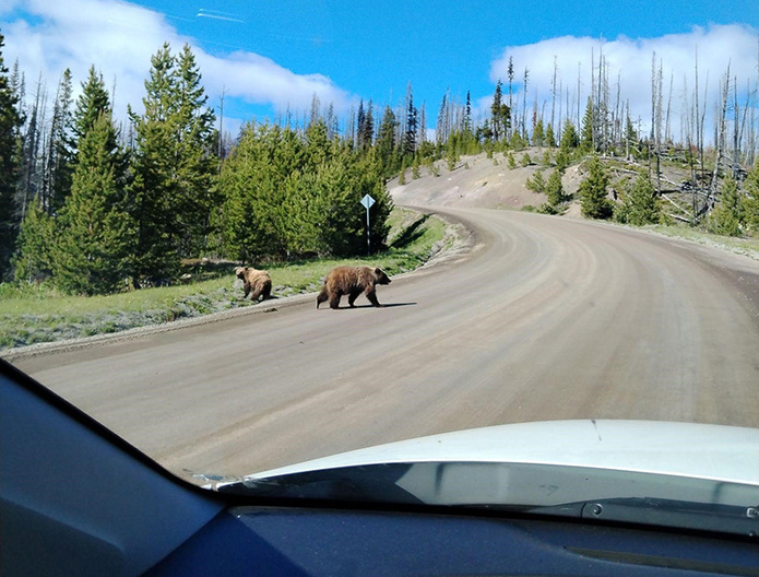 © Terra Canada © Terra Canada