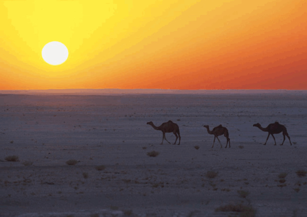 Oman tente de relancer sa fréquentation touristique sur le marché français. DR-OT Oman Oman tente de relancer sa fréquentation touristique sur le marché français. DR-OT Oman