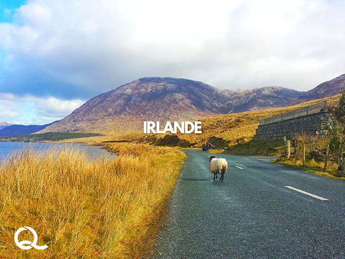 © Quartier Libre © Quartier Libre