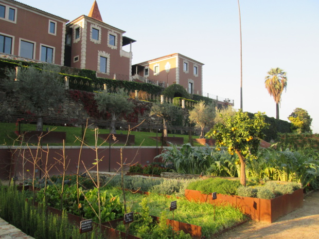 Au pied de l'hôtel, à l'emplacement de l'ancien tennis, le jardin organique qui reçoint la visite quotidienne du chef. Photo MS. Au pied de l'hôtel, à l'emplacement de l'ancien tennis, le jardin organique qui reçoint la visite quotidienne du chef. Photo MS.