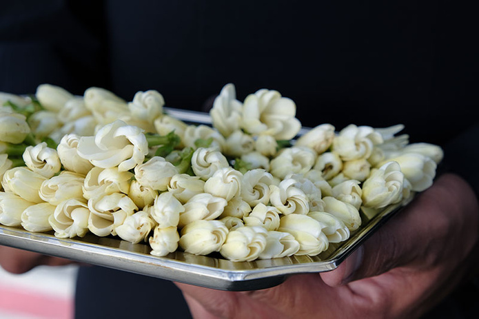 © Danee HAZAMA © Danee HAZAMA