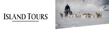 Groenland : Island Tours lance un Raid en traîneau à chiens Groenland : Island Tours lance un Raid en traîneau à chiens