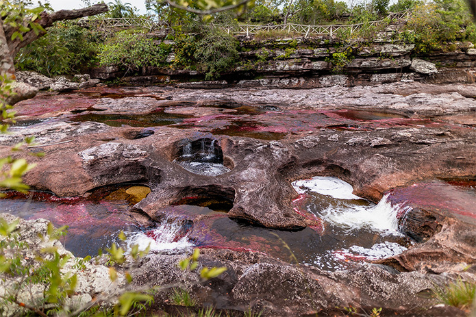 © Sebastien Ceron © Sebastien Ceron