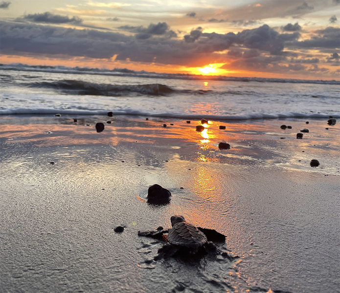 © Terra Colombia © Terra Colombia