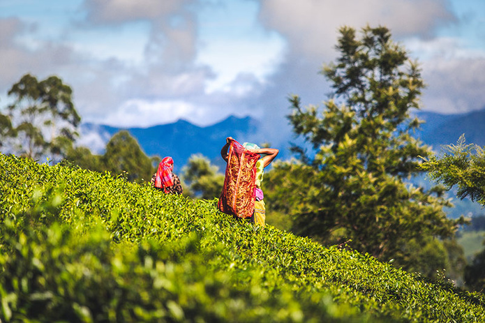 © DTH Travel © DTH Travel