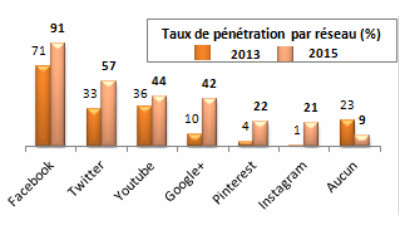 Pourcentage d'entreprises touristiques présentes sur les différents réseaux sociaux en 2013 et en 2015 - DR : PS9 Conseil