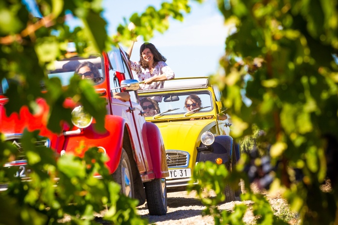 En 2025, l’office de Tourisme de la Côte du Midi veut se développer sur le MICE. ©CDeschamps En 2025, l’office de Tourisme de la Côte du Midi veut se développer sur le MICE. ©CDeschamps