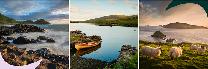 © Envato Elements © Envato Elements