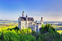 © Shutterstock