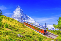 © Shutterstock