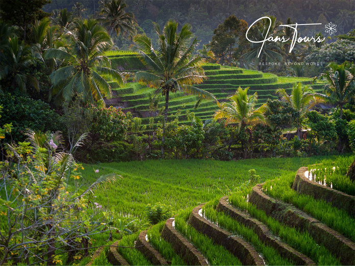 © Canva from Getty Images @lowestock © Canva from Getty Images @lowestock