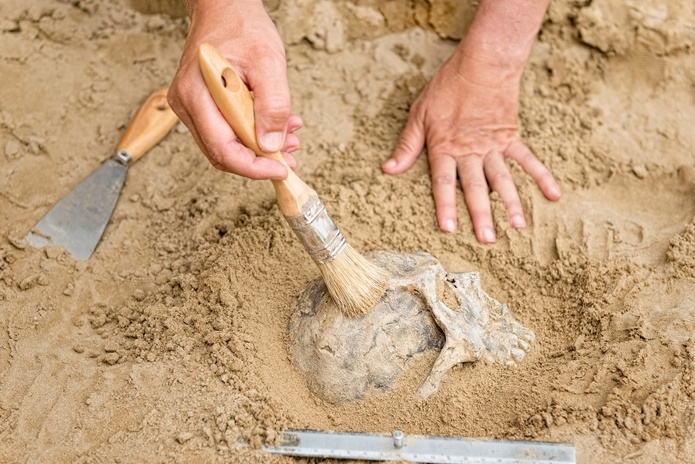 Le Mystère des Faluns revient avec une programmation enrichie - Depositphotos @microgen Le Mystère des Faluns revient avec une programmation enrichie - Depositphotos @microgen