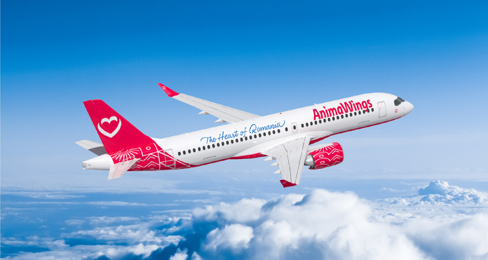 © AnimaWings © AnimaWings