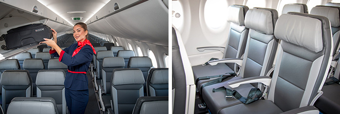 © AnimaWings © AnimaWings