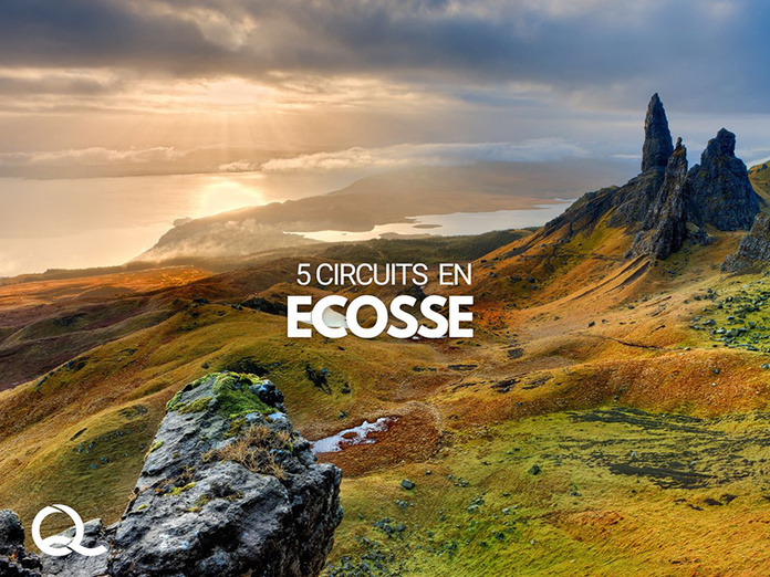 © Canva - Quartier Libre © Canva - Quartier Libre