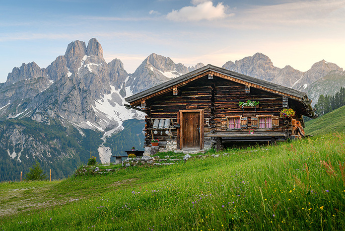 © Shutterstock