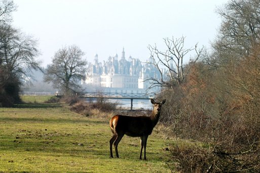 Blois - Pays de Chambord : 100 jours magiques pour valoriser l'offre touristique Blois - Pays de Chambord : 100 jours magiques pour valoriser l'offre touristique