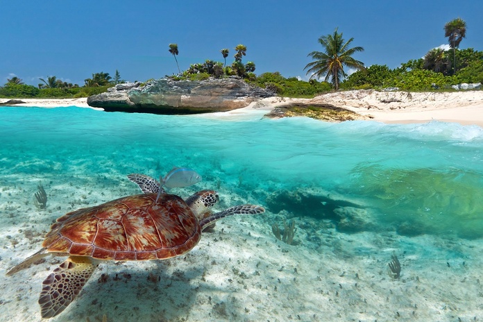 Cunard lance son challenge de vente pour les Caraïbes - Photo : Depositphotos.com @Patryk_Kosmider