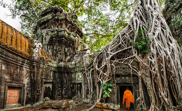 © Shutterstock