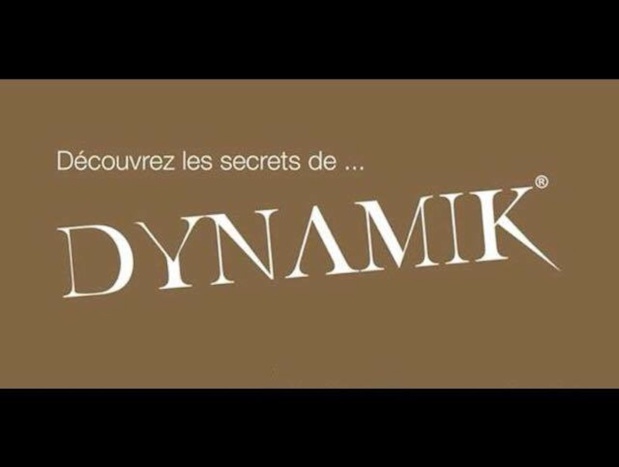 Dynamik, une solution BtoB - (c) Kuoni/Dynamik Dynamik, une solution BtoB - (c) Kuoni/Dynamik