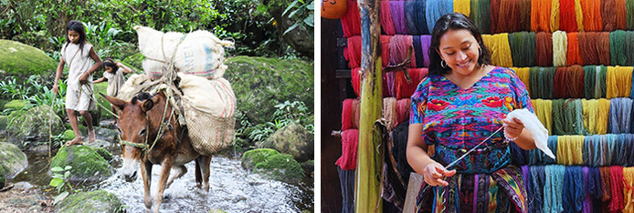 © Terra Colombia / © Terra Guatemala