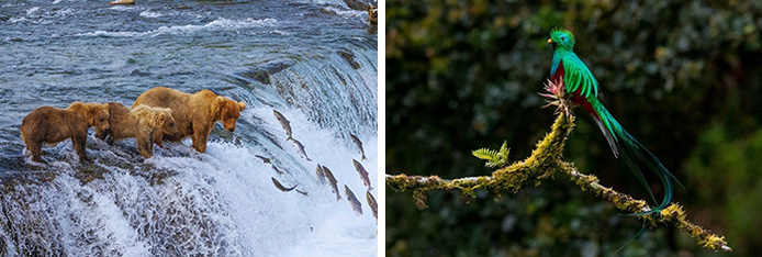 © Adobe Stock © Adobe Stock