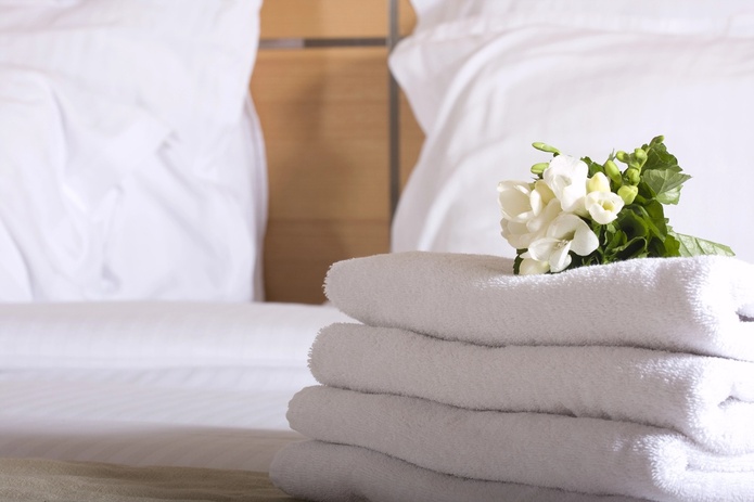 Radisson ouvre ses deux premiers hôtels certifiés Net Zero - Photo : Depositphotos.com @senkaya