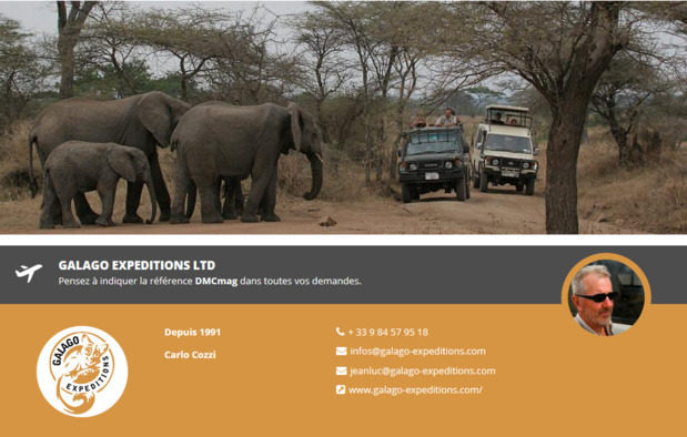 Galago Expeditions Ltd rejoint DMCMag.com Galago Expeditions Ltd rejoint DMCMag.com