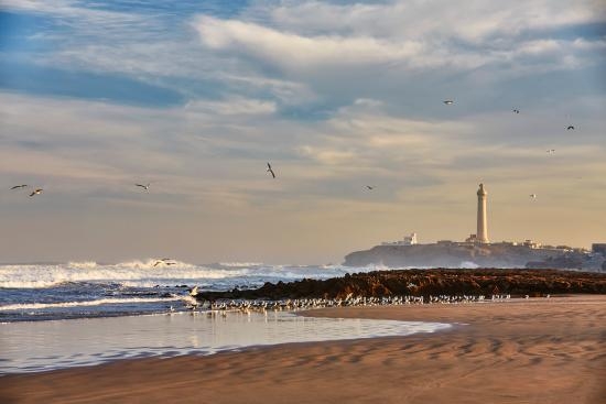 Une situation enviable, sur la plage de Casablanca, en contrebas de la célèbre Corniche - DR